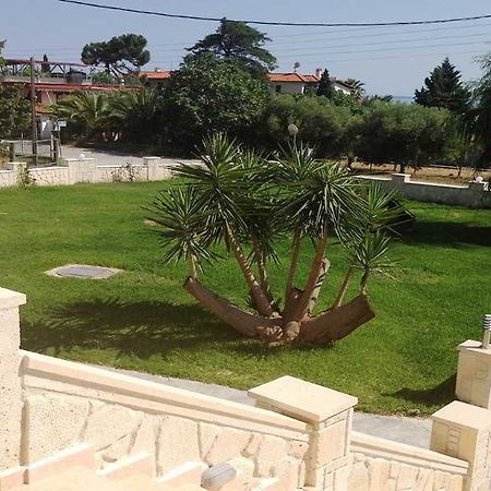 Paradisos Apartments نيا سكيوني المظهر الخارجي الصورة